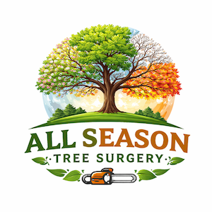All Season Tree Surgeons 