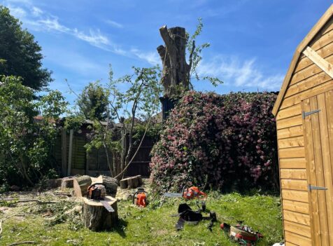 tree surgeons cannock