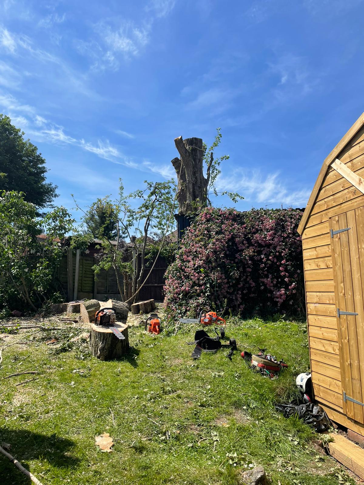 tree surgeons cannock