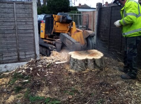 tree surgeons cannock