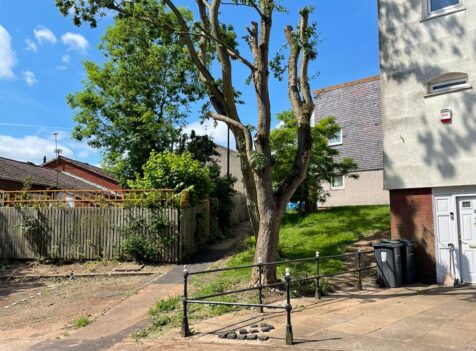 Tree Reduction in Cannock