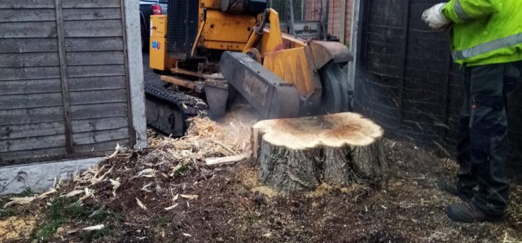 Tree Stump Removal Halesowen
