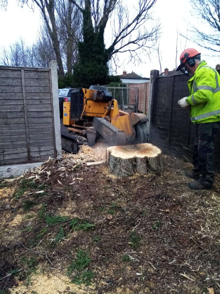 Tree Stump Removal Halesowen