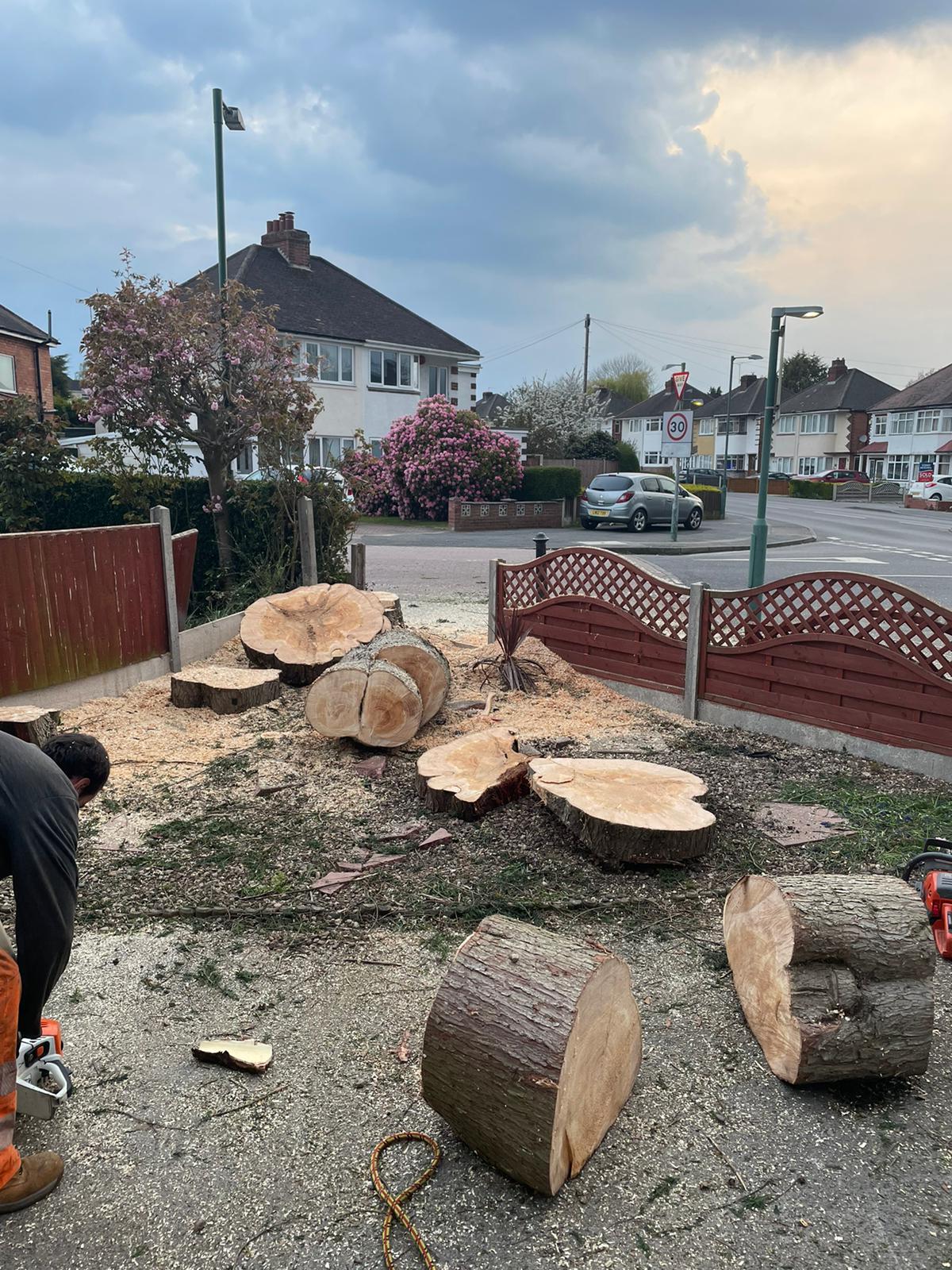 tree surgeons cannock