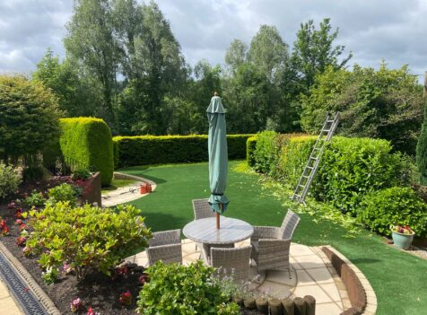 Professional hedge maintenance in Cannock