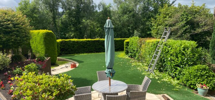 Regular Hedge Cutting in Atherstone