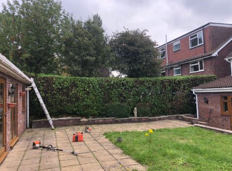 Professional hedge maintenance in Cannock
