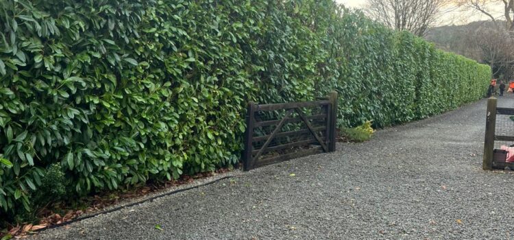 Regular Hedge Cutting in Lichfield