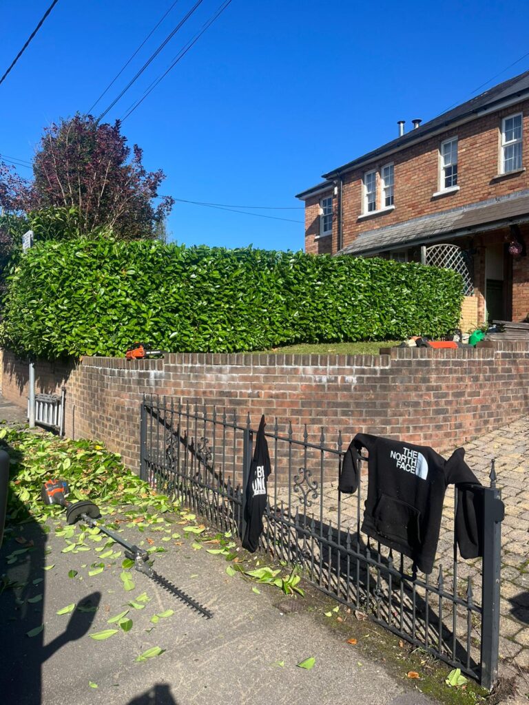 Overgrown Hedge Cutting in Hazelslade