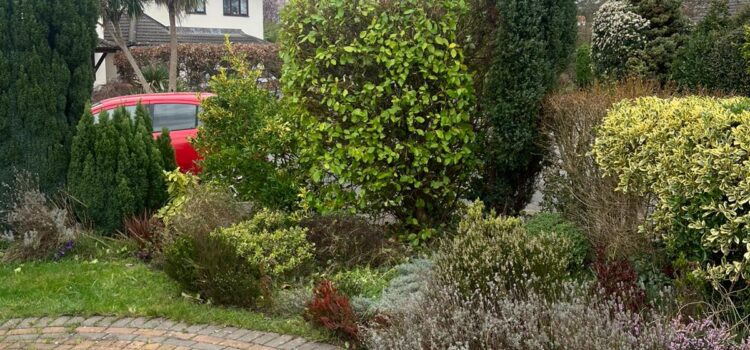 Regular Hedge Cutting in Halesowen