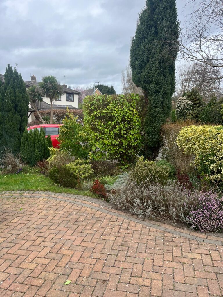 Regular Hedge Cutting in Halesowen