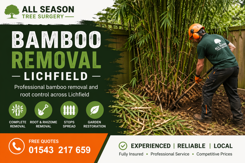 Bamboo Removal Lichfield