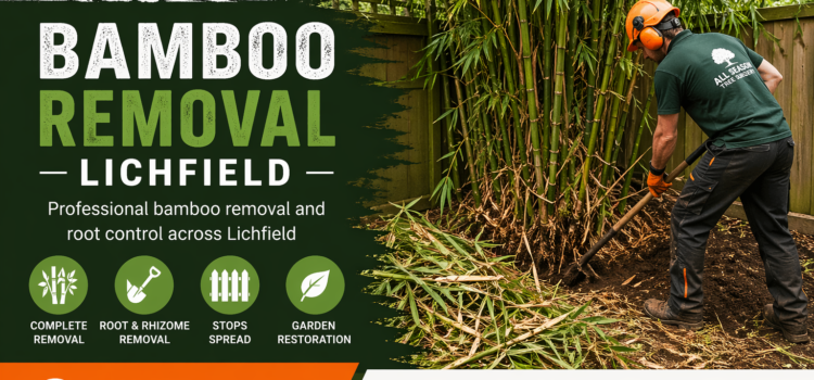 Bamboo Removal Lichfield