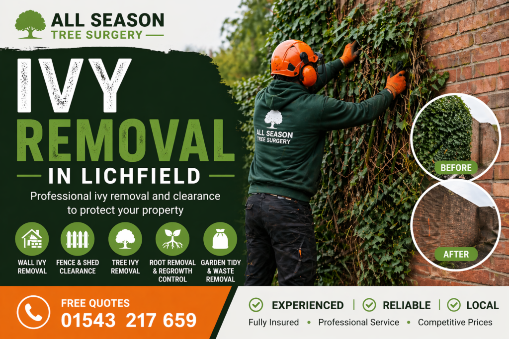 ivy removal in Lichfield?