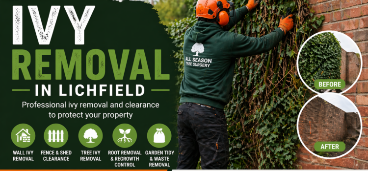 ivy removal in Lichfield?