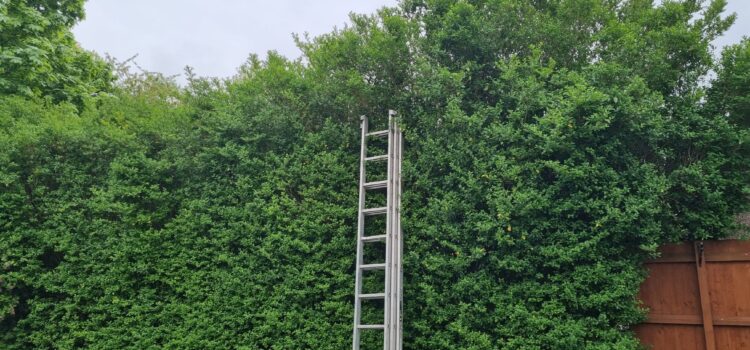 Regular Hedge Cutting in Polesworth