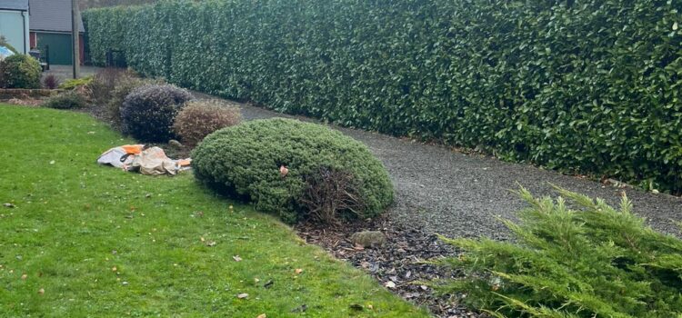 How much is Hedge Cutting in Hammerwich
