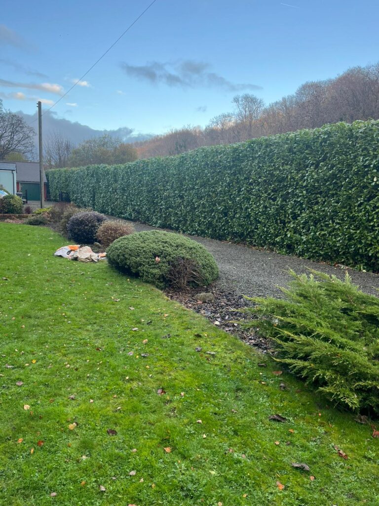How much is Hedge Cutting in Hammerwich