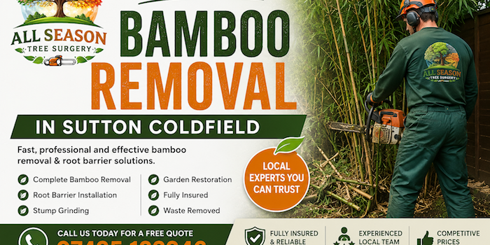Bamboo removal in sutton coldfield