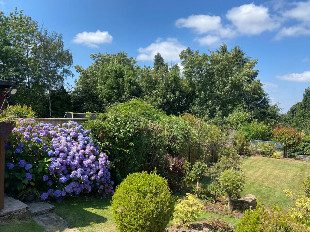 Tree and Hedge Maintenance Cannock