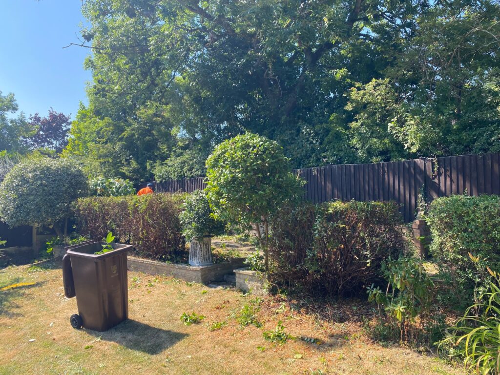 hedge maintenance stafford