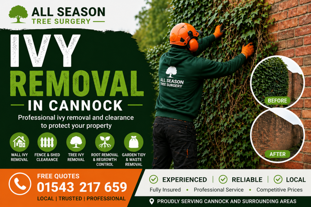 ivy removal in cannock