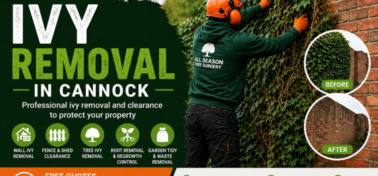 ivy removal in cannock