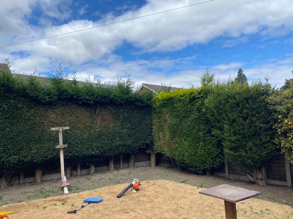 hedge cutting cannock