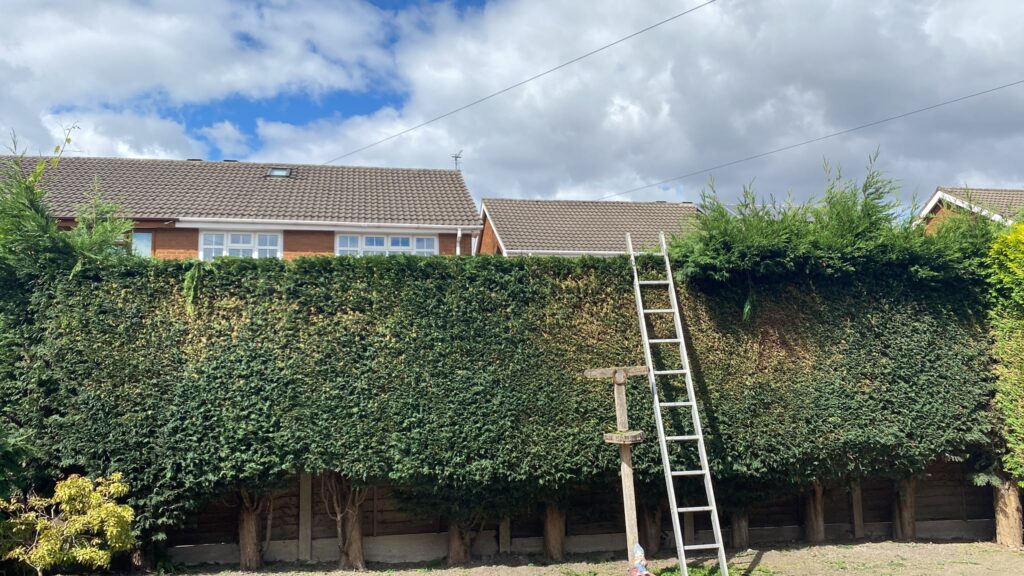hedge cutting cannock