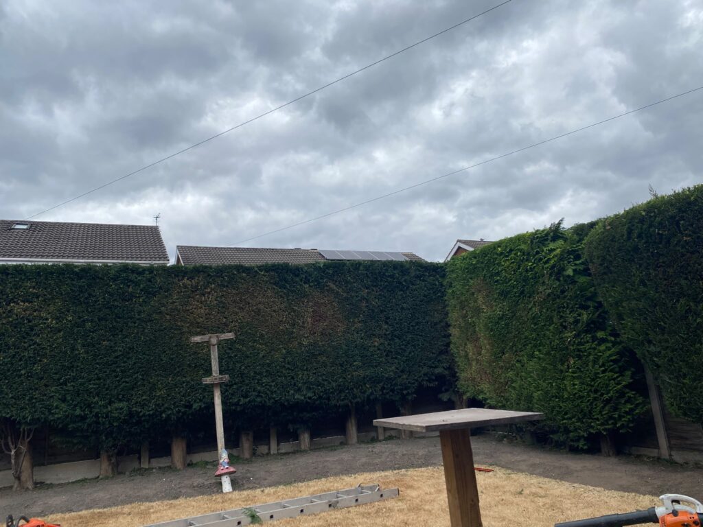 hedge cutting in Cannock
